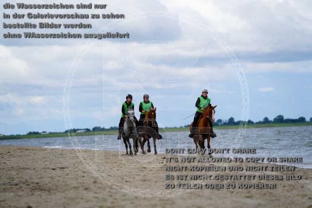 s_K3F05026.JPG